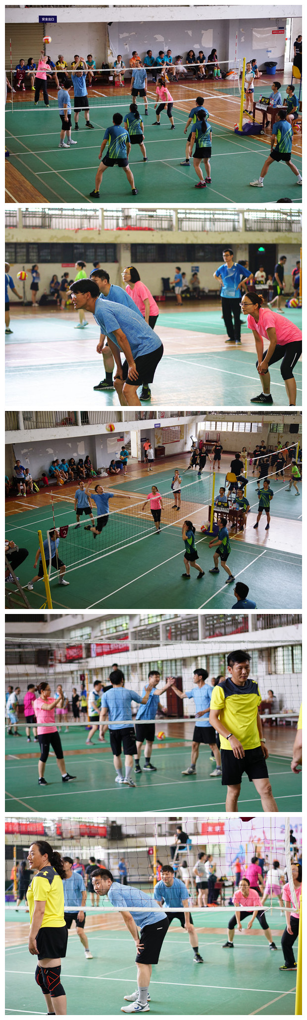 组合1.jpg 组合1.jpg